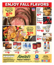 Ad Preview