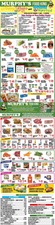 Ad page image