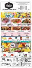 Ad Preview