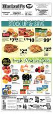 Ad Preview