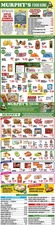 Ad Preview