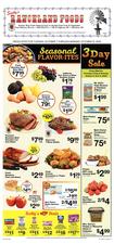 Ad Preview