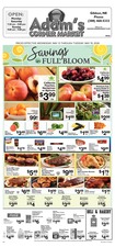 Ad Preview