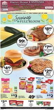 Ad Preview