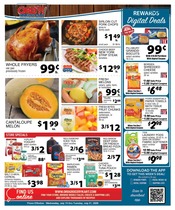 Ad Preview