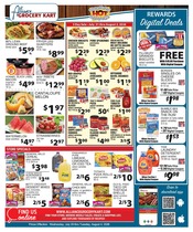Ad Preview