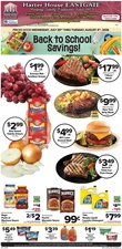 Ad Preview