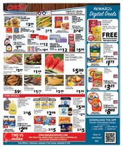 Ad Preview