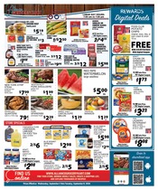 Ad Preview