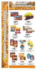 Ad page image
