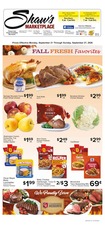Ad Preview
