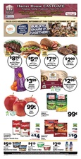 Ad Preview