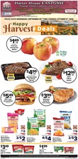 Ad Preview