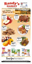 Ad Preview