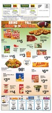 Ad Preview
